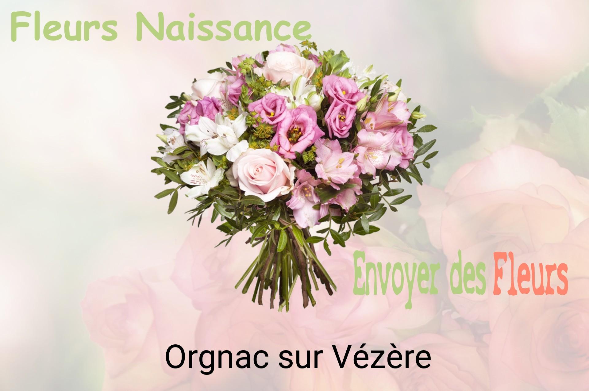 Bouquet de fleurs de naissance livré à Orgnac-sur-Vézère